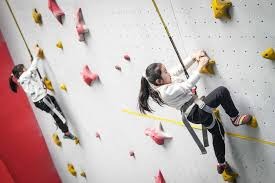 揭秘“数据挖掘”：博彩平台是如何通过你的点击习惯判断你是否会追加投注。（数据挖掘揭秘：博彩平台如何通过你的点击行为预测你是否会加码下注）